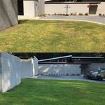 Centipede Lawn Fertilization: 60 day results