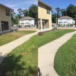 Chinch Bug Damage - Before & After