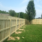 Privacy Fence