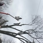 Take down in motion