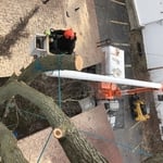 Branch by branch