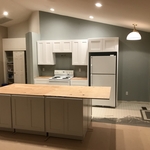 remodel