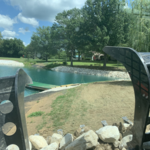 Excavating Project / In Progress