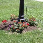 Lamp Post Decoration