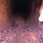 Under the house