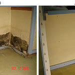 Toxic mold repairs