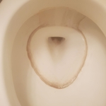 Toilet Before