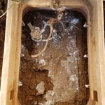 15 Year old Irrigation Valve