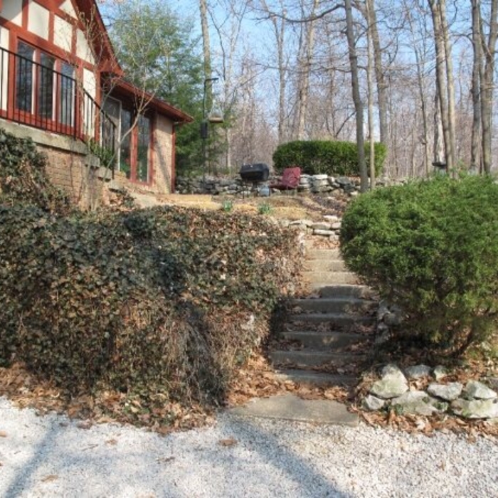 Over grown staircase