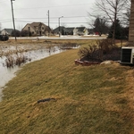 6 months after the project was completed.