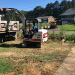 tree and stump clearing