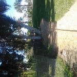 fence