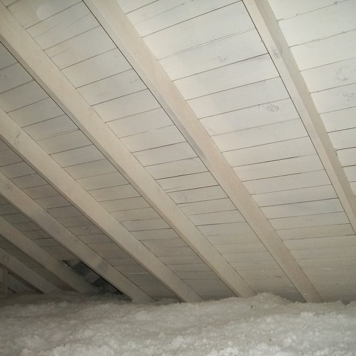 Attic Mold Remediation
