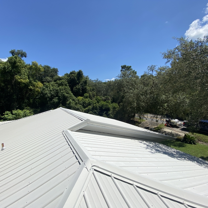 Roof Wash