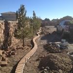 Trees, drip irrigation & brick edging