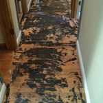 Before- backing from old carpet