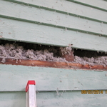 nre insulation