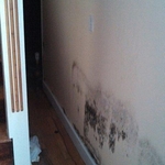 severe basement damage