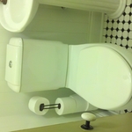 dual flush toilet