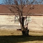 Cedar Siding