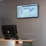 Digital Advertising @ Triangle Cellular Repair