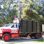 Boobe Jack Tree Service