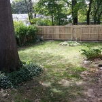 Wood Fence