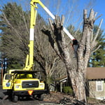 Our Work