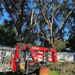 Enviro Serv