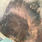 Water Damaged Floor
