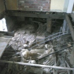 tear out of rotten floor