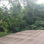 Flat Modified Roof