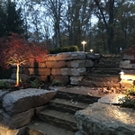 Rear Steps