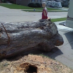 South Omaha project