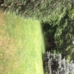 Rich's Mowing Service