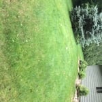 Rich's Mowing Service