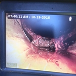 Main Sewer Break Photo