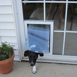 Pet Door