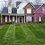 Lawn Maintenance