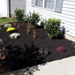 New Plants Install