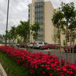 Jackson Madison Co Hospital