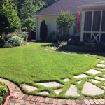 Neblett Backlawn & Garden