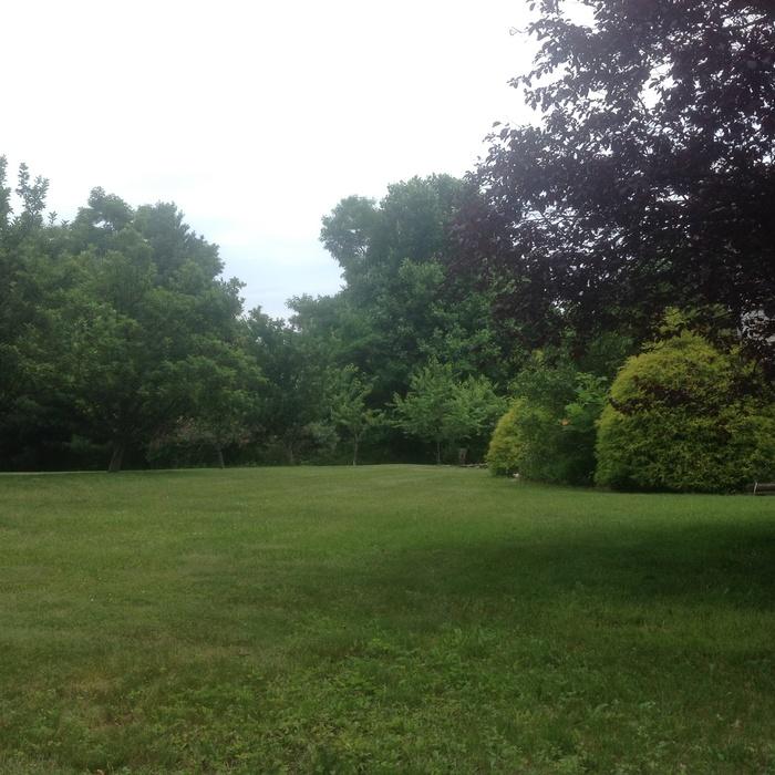Landscaping maintenance