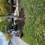 Stump removal