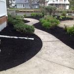 Fall clean up and plantings