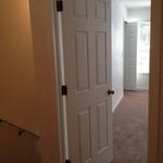 Doors painting