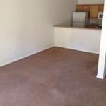 Cleaned carpet and wall painting