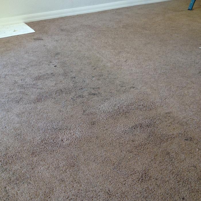Carpet before clean up