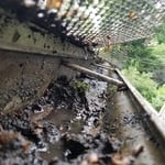 gutter
