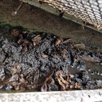 gutter